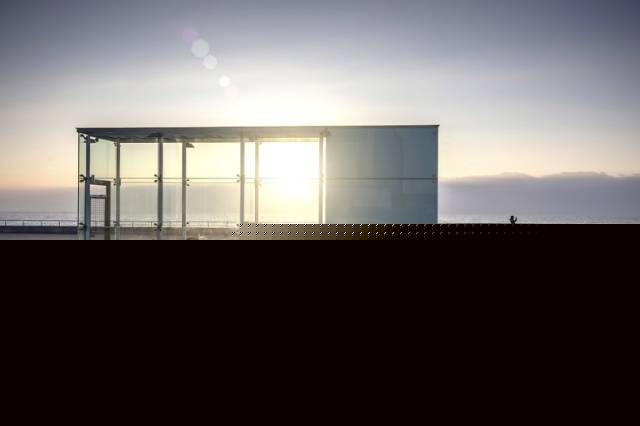 双生赤狐 视频主图