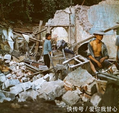 伊丽莎 施莱辛 不同的动物 视频主图