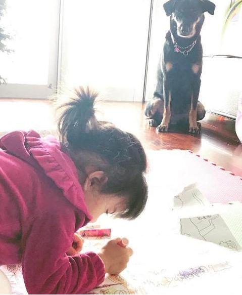 冥绝村 视频缩略图