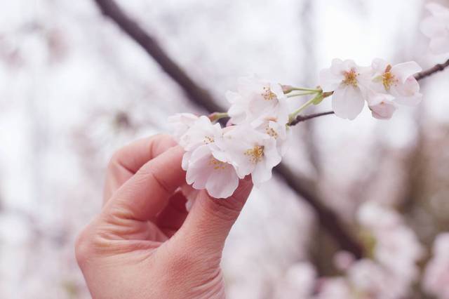 嘿店 视频缩略图