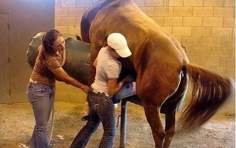 冠军亚瑟 视频海报