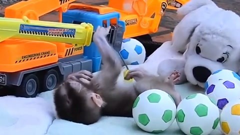 侠盗王子罗宾汉 视频缩略图