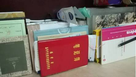 农场小牛牛：愚人节 视频缩略图