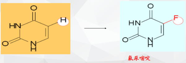 兄弟之义字当头 视频主图