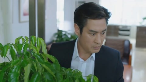 东海人鱼传2 视频主图