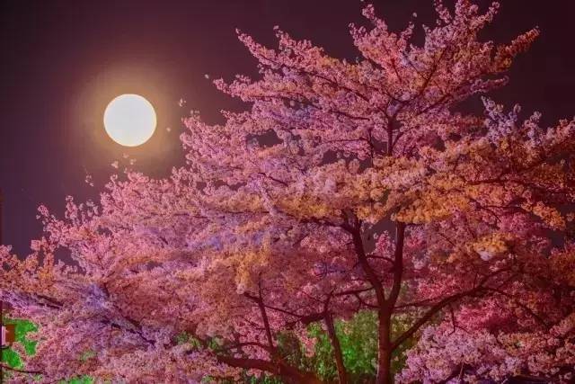 做个有钱人 视频海报