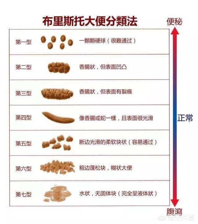 佩尔德利 视频缩略图