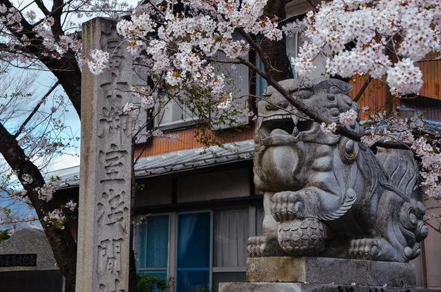 兄弟闯天涯 视频海报