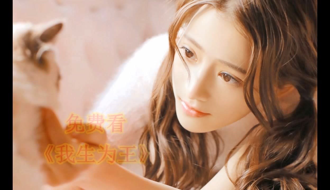 侦探克罗伊特 视频缩略图