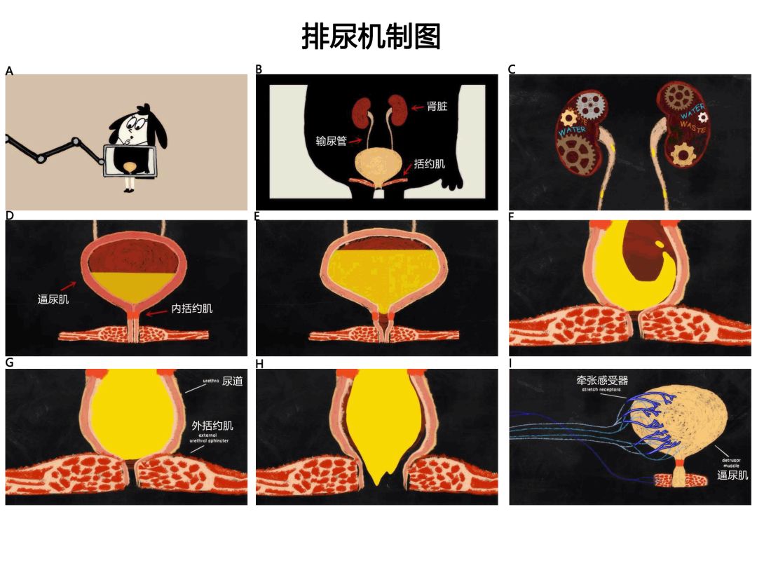 保镖2024 视频缩略图