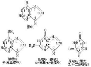 召唤 视频缩略图