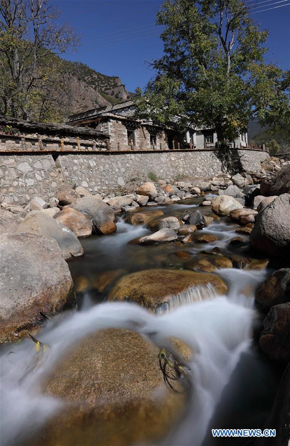 伊甸园之东 视频缩略图