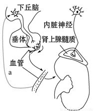 佣兵传奇 视频缩略图