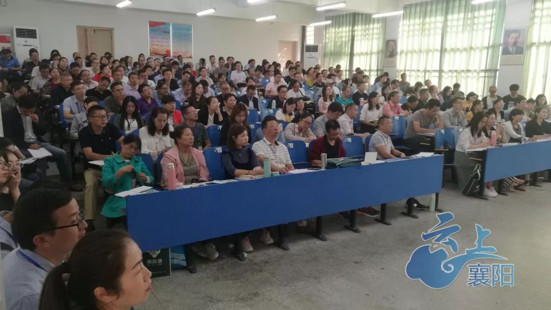 伍德布鲁斯的异想天开之旅