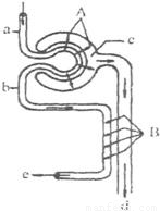 偷心的女人 视频缩略图