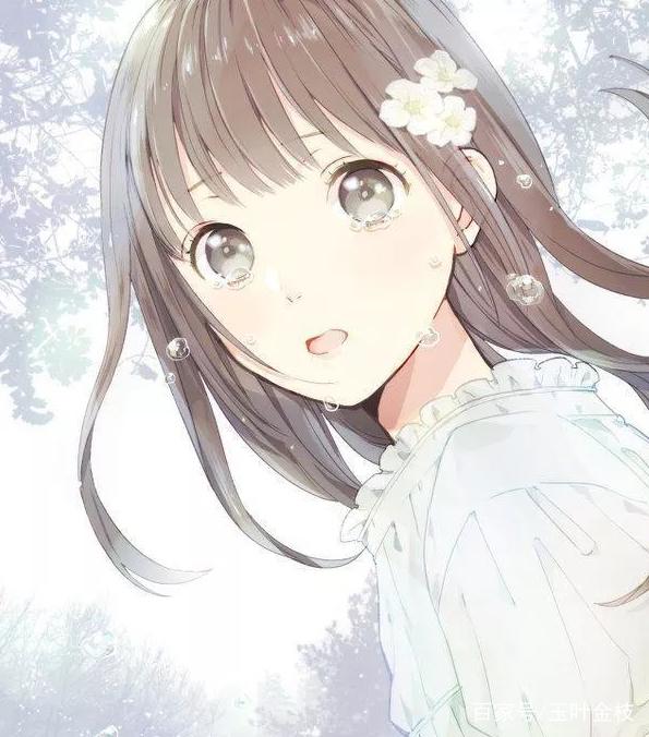 他马克老板 视频缩略图