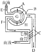 唐伯虎之醉美人 视频海报