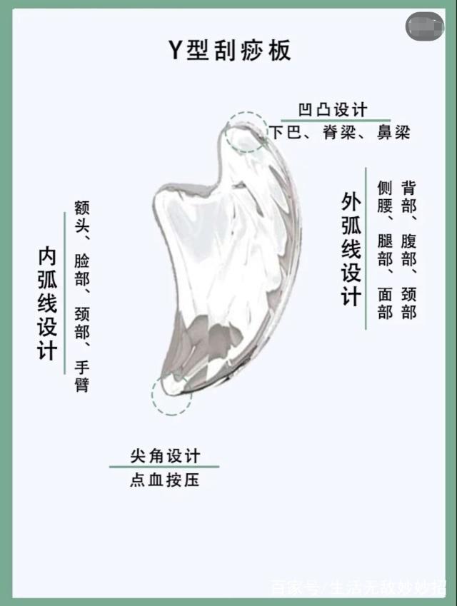 军犬麦克斯 视频海报
