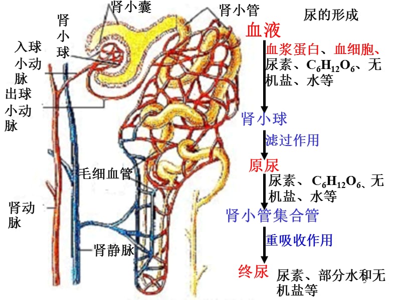 坏教育 视频缩略图
