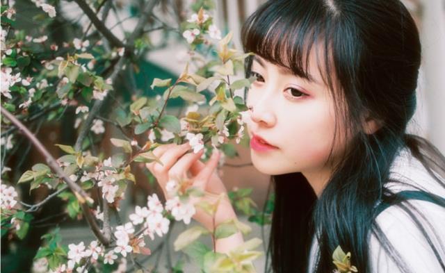 傲慢与偏见与僵尸 视频海报