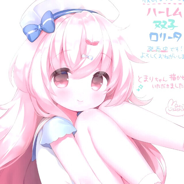 住货车的女士 视频海报