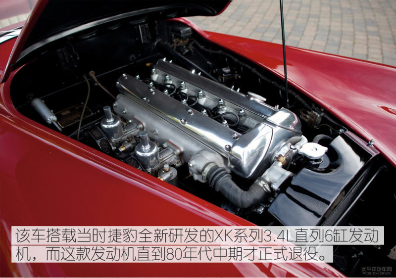 军犬麦克斯 视频海报