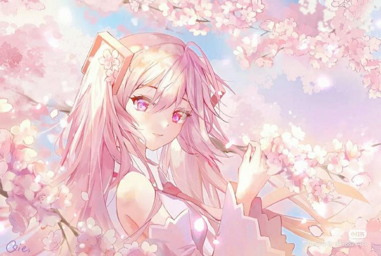 圣人文森特 视频缩略图