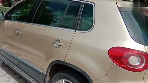 凤凰城遗忘录（原声版） 视频缩略图