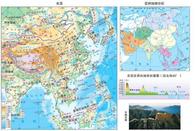 冰川时代5：星际碰撞 视频缩略图