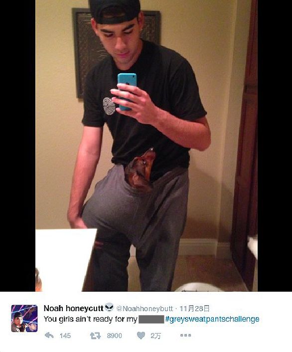 侠盗高飞 视频缩略图