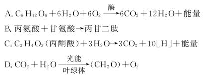 仙书奇谭 视频缩略图