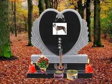 伦敦佬对抗活死人 视频缩略图