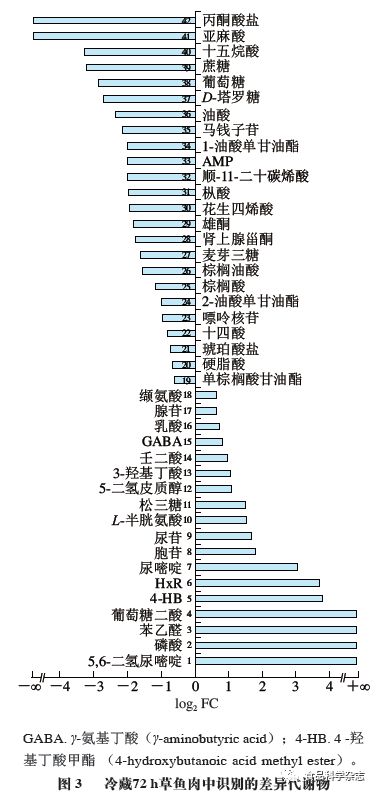 侠圣 视频缩略图