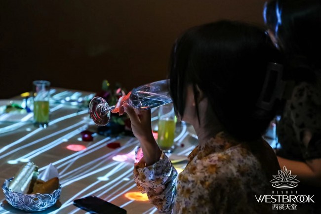 冰川时代5：星际碰撞 视频缩略图