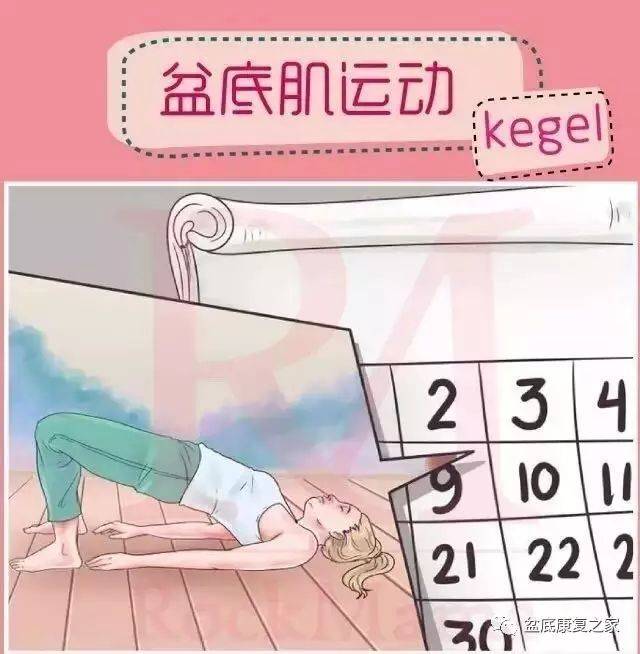 伊丽莎 施莱辛 不同的动物 视频缩略图