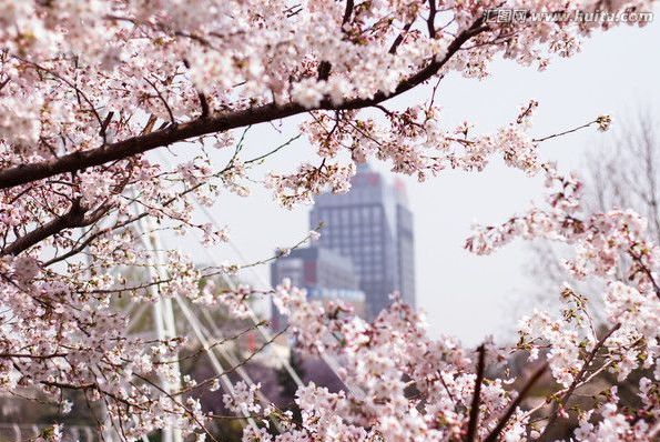 佳人有约 视频缩略图