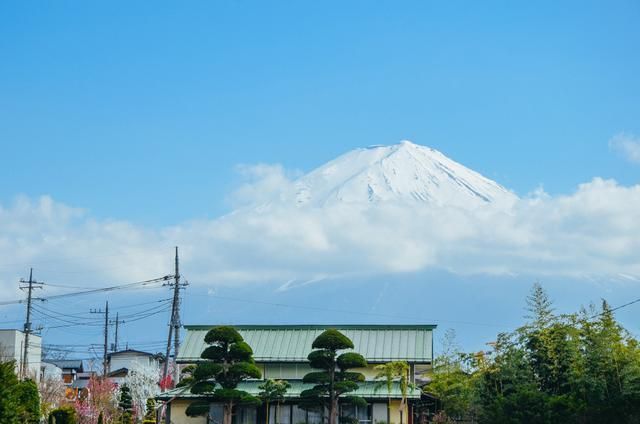 军犬麦克斯 视频缩略图