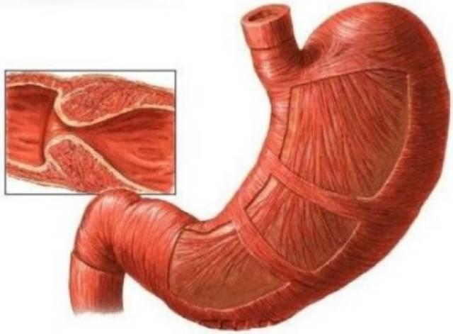 冽之花 视频海报