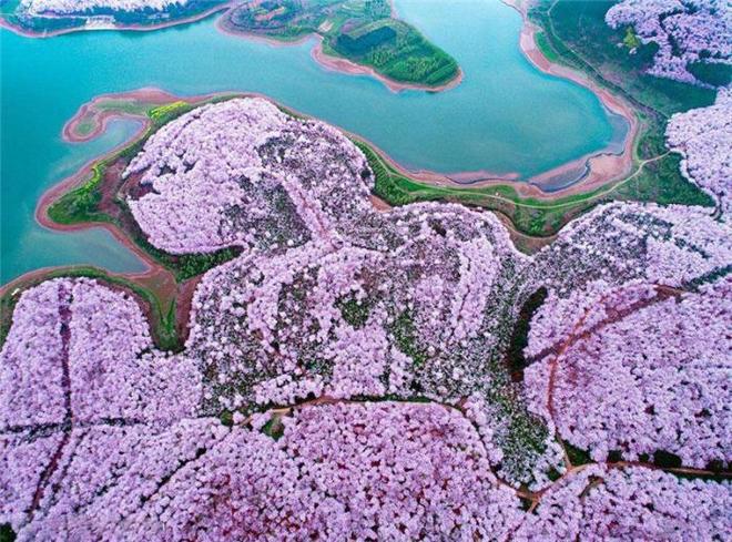 伊甸湖 视频缩略图