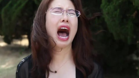 军犬麦克斯 视频海报