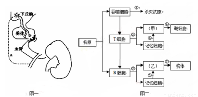 侏罗纪游戏：灭绝 视频缩略图