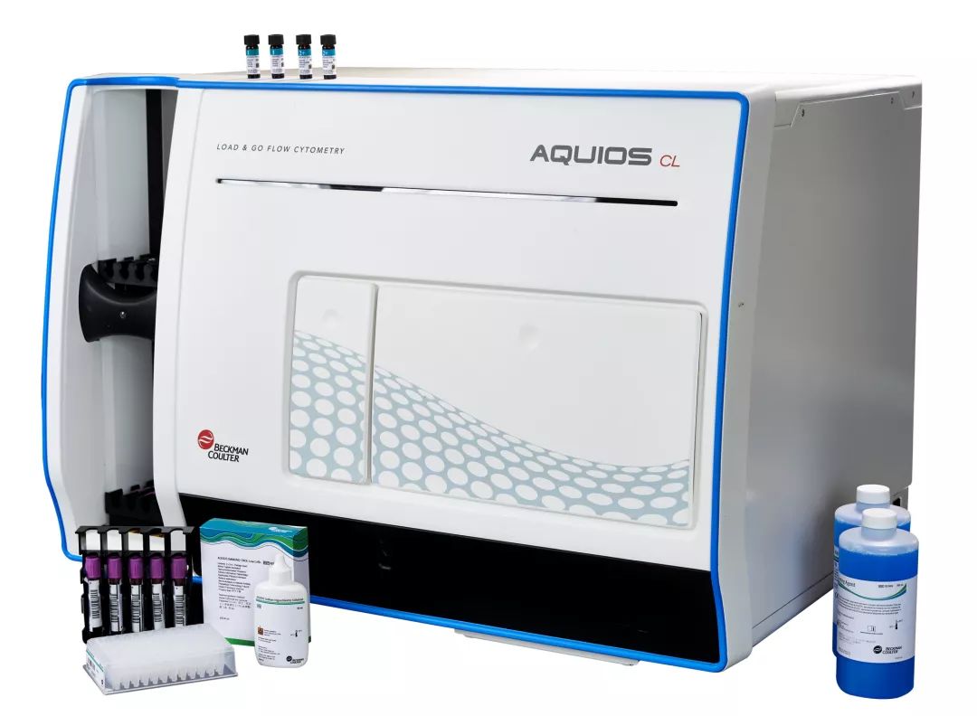 减法人生 视频海报