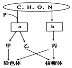 例外 视频缩略图