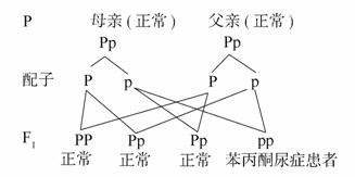夏日时光机 视频缩略图