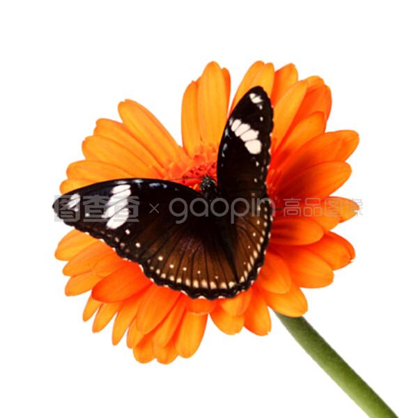 凯文怎么了 视频缩略图