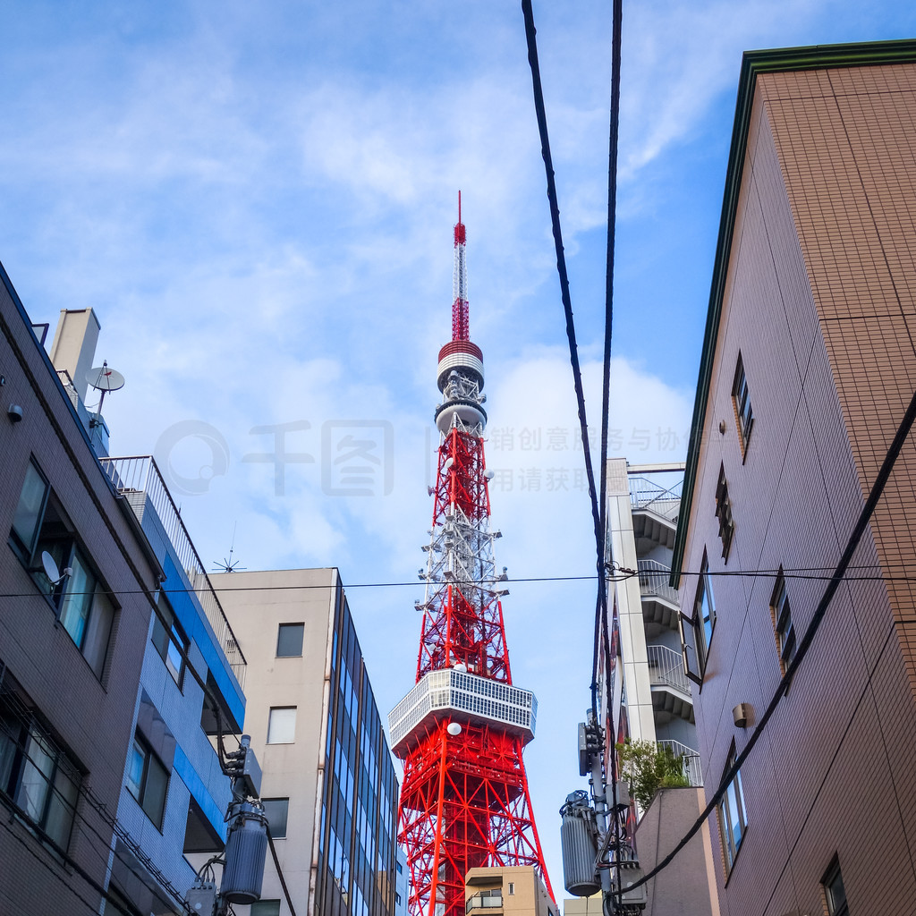 倔强的牛顿 视频海报