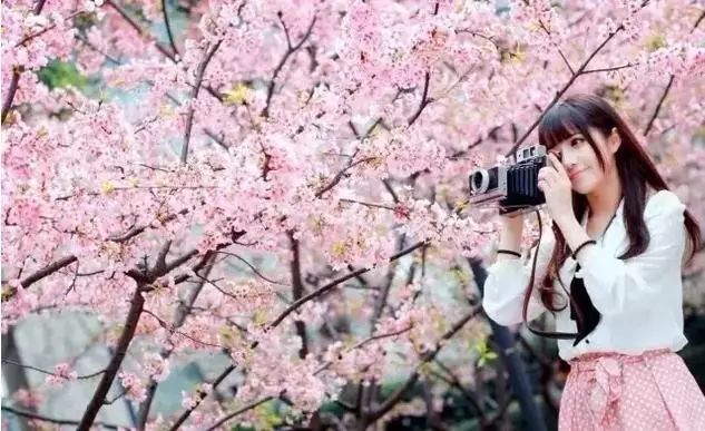 仙剑奇侠传前传：酒剑仙 视频海报