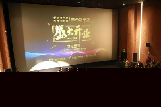 保镖2024 视频海报