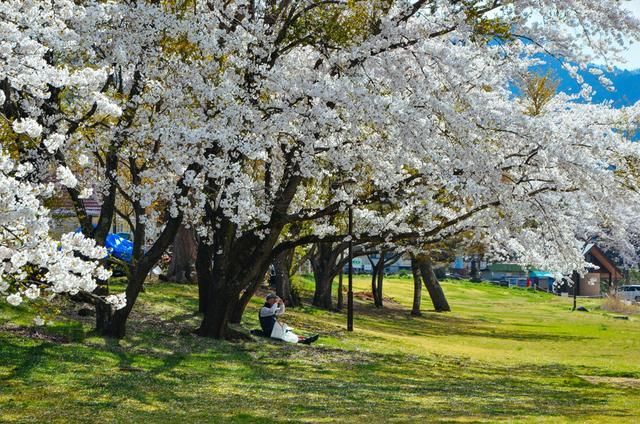 从邪恶中拯救我