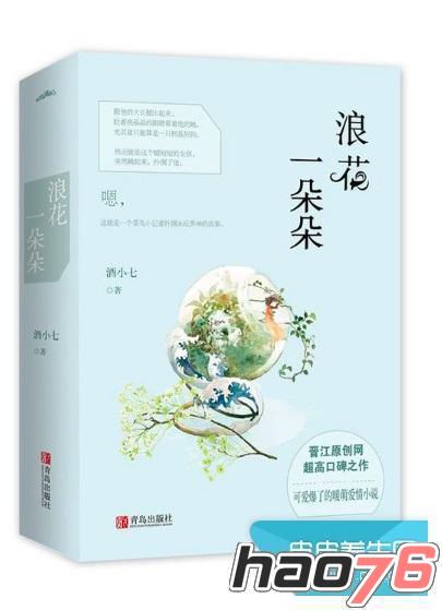 呆瓜兄弟 视频海报